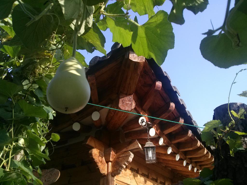 Hotel Dalbbit Hyang Jeonju Zewnętrze zdjęcie